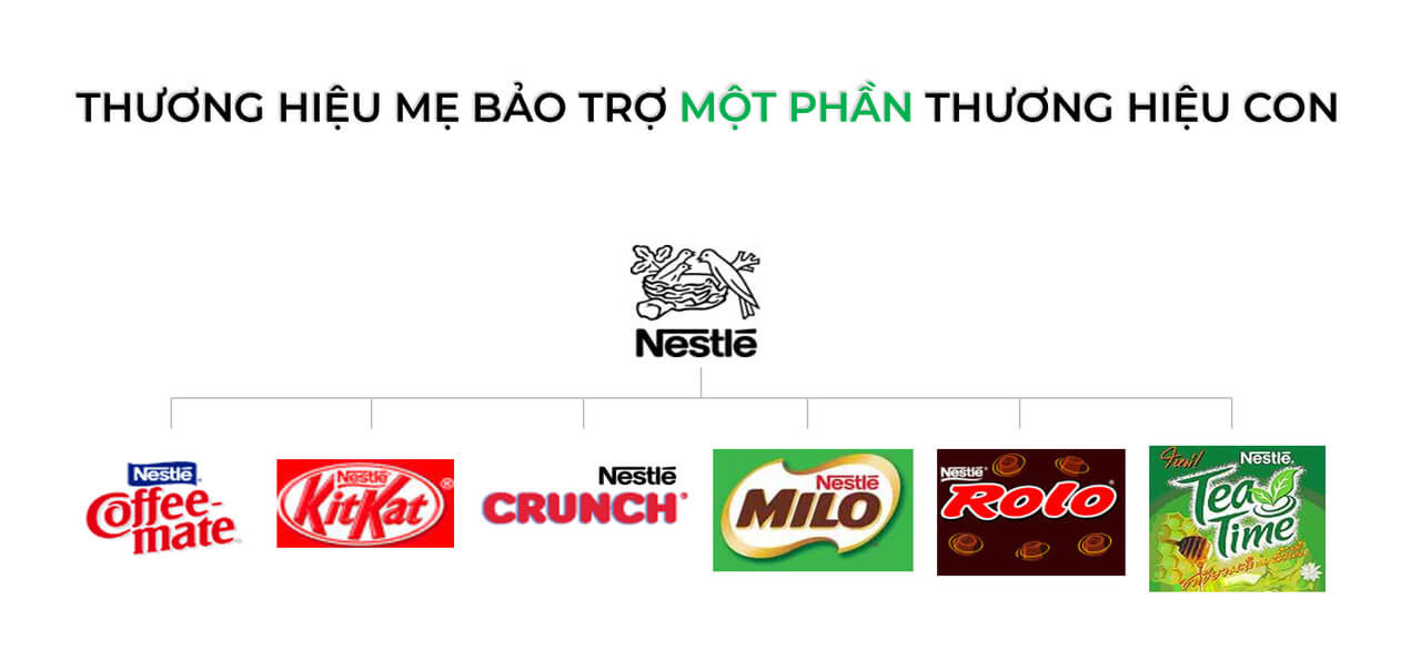 Thương hiệu được bảo trợ - Endorsed Brands