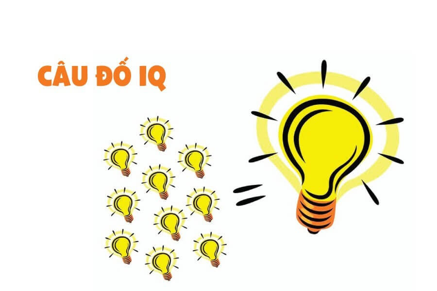 Tham gia interactive content qua câu đố.