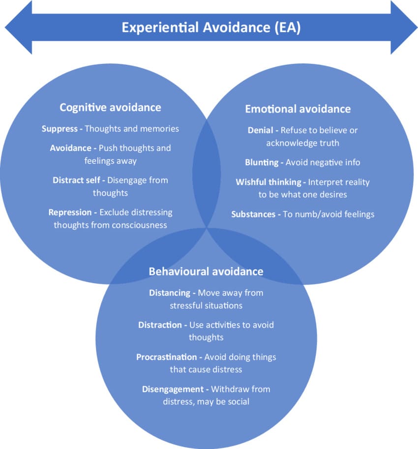 Các loại hình ad avoidance