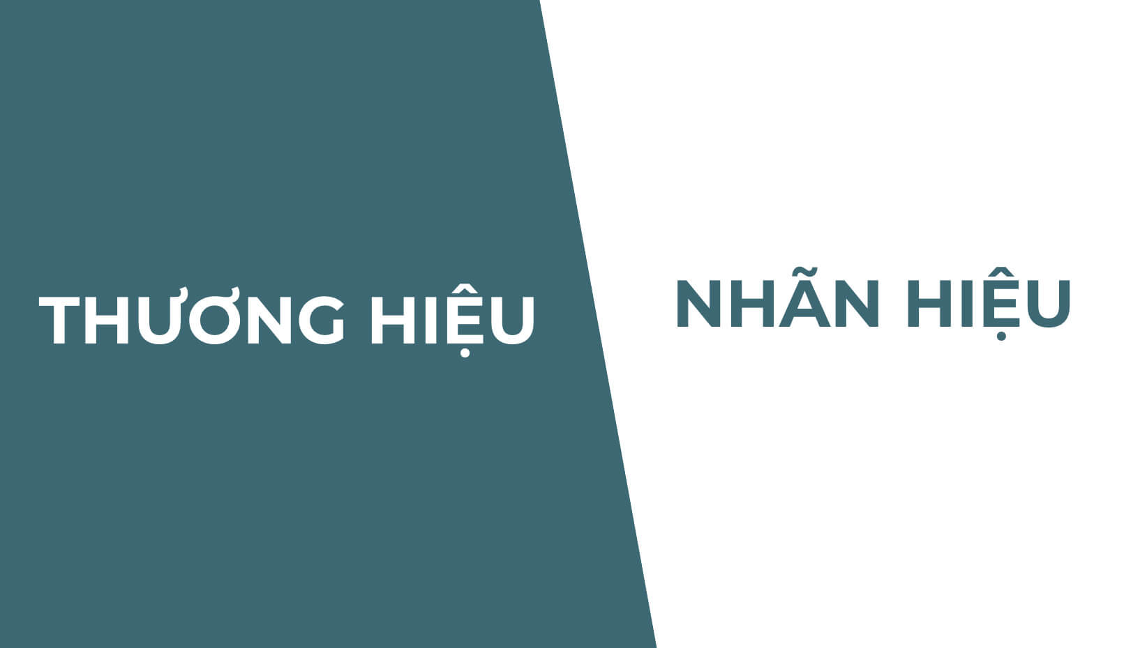 Phân biệt nhãn hiệu và thương hiệu