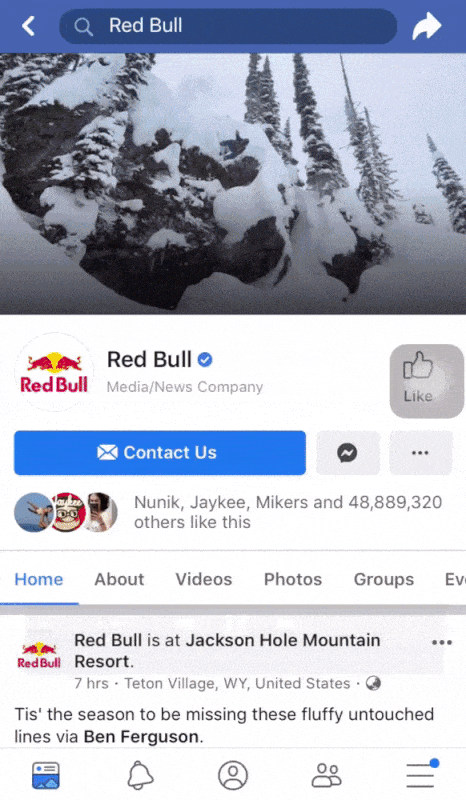  Red Bull 