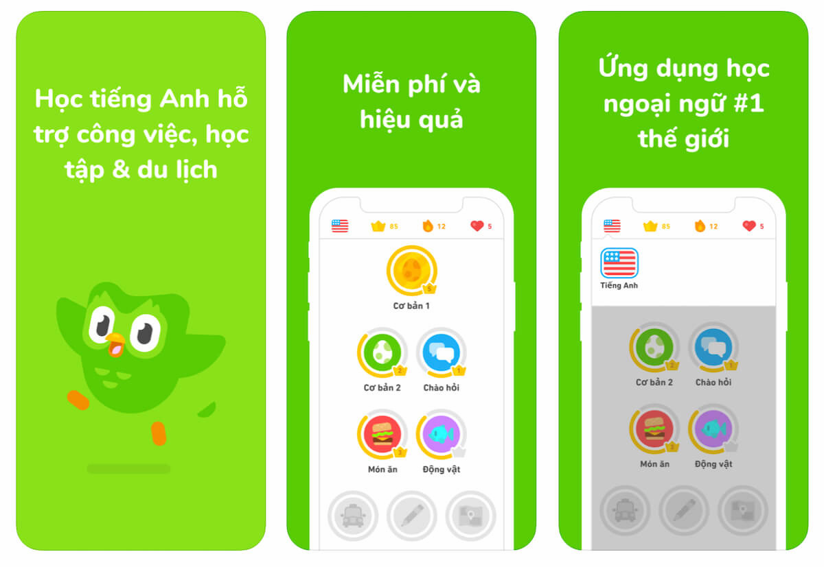 Gói gia hạn Duolingo 1 năm chất lượng cao cho việc học ngôn ngữ